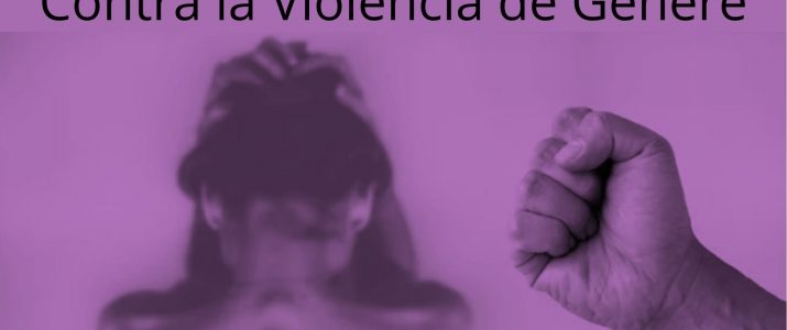Dia contra la Violència de Gènere