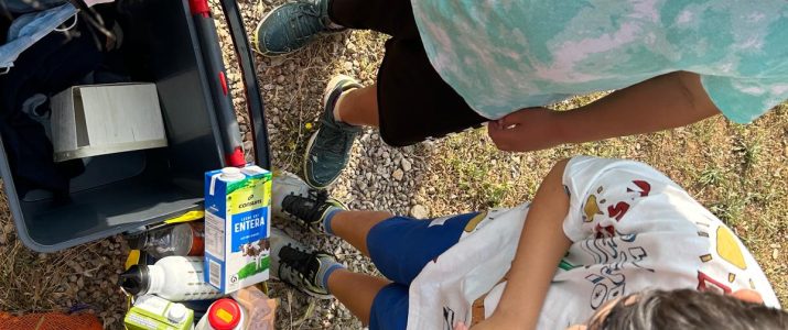 Benlloc celebra el Dia del Medi Ambient amb una jornada de reciclatge a la Pineda
