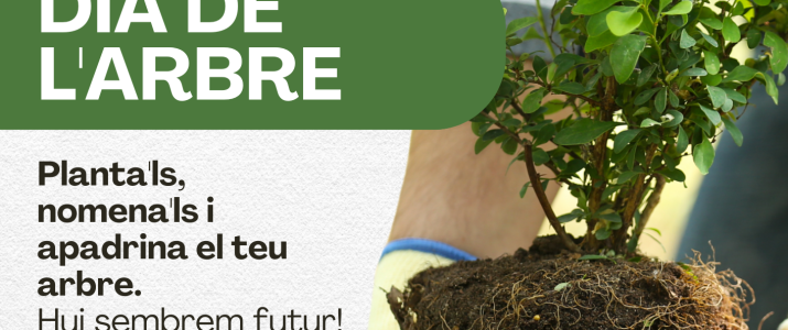 🌳 Dia Internacional de l’Arbre – Benlloc 🌳